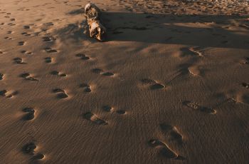 modern footprints and shoe prints in the sand